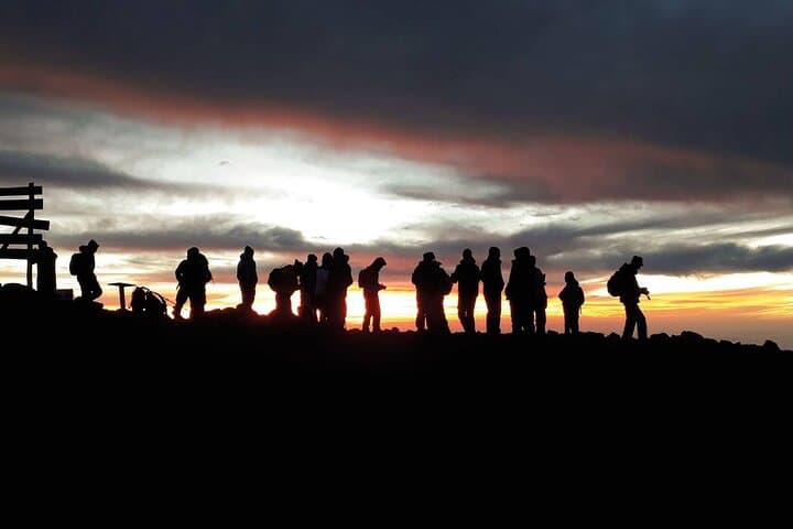 Conquer Kilimanjaro via the Machame Route: A 6-Day Ascent from Moshi photo 6