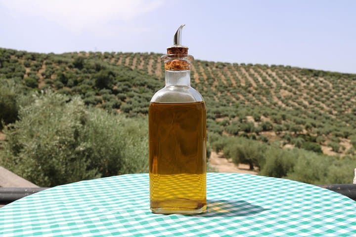Private Olive Oil Mill Tour from Seville: Basilippo Hacienda Experience photo 5