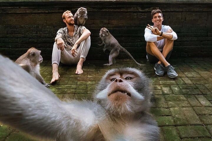 Ubud Day Tour: Monkey Forest, Tegalalang & Jungle Swing (All-Inclusive) photo 2