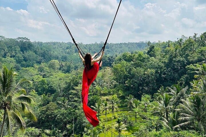 Ubud Day Tour: Monkey Forest, Tegalalang & Jungle Swing (All-Inclusive) photo 5