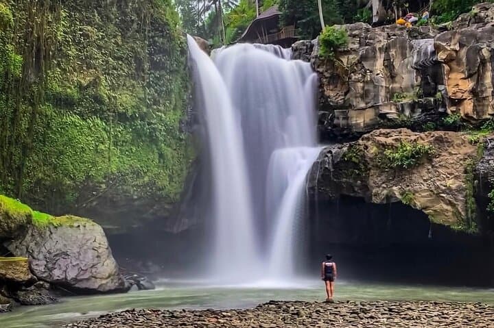 Ubud Day Tour: Monkey Forest, Tegalalang & Jungle Swing (All-Inclusive) photo 6