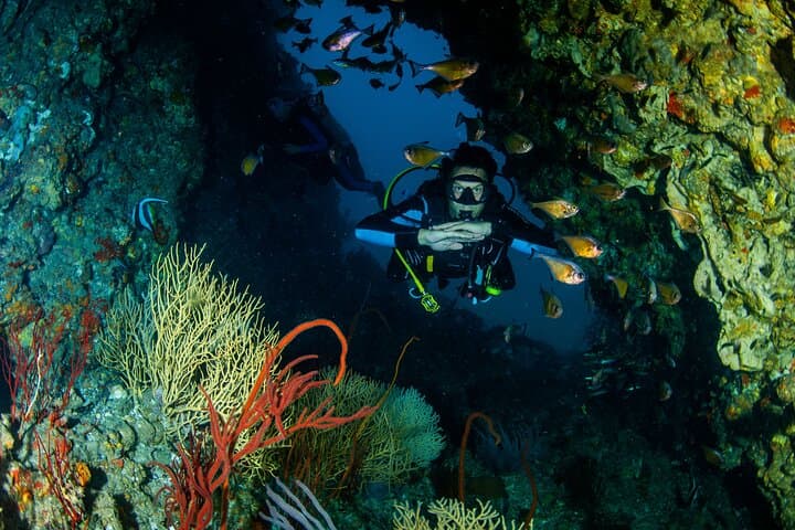 Racha Yai Daytrip: Scuba Diving from Phuket's Chalong Pier photo 6
