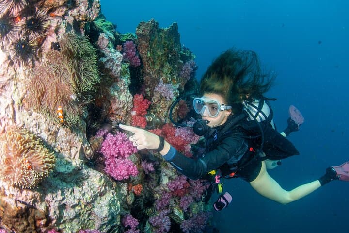 Racha Yai Daytrip: Scuba Diving from Phuket's Chalong Pier photo 3