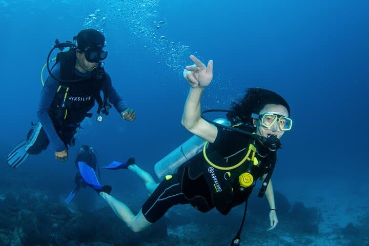 Racha Yai Daytrip: Scuba Diving from Phuket's Chalong Pier photo 5