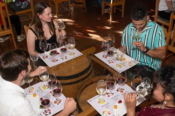 Constantia Wine Tour: Groot Constantia, Constantia Glen & Beau Constantia Tasting Day photo 2