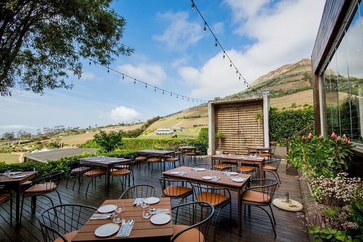 Constantia Wine Tour: Groot Constantia, Constantia Glen & Beau Constantia Tasting Day photo 3