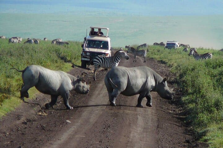 One-Day Ngorongoro Crater Safari — Big Five Game Drive from Arusha photo 3