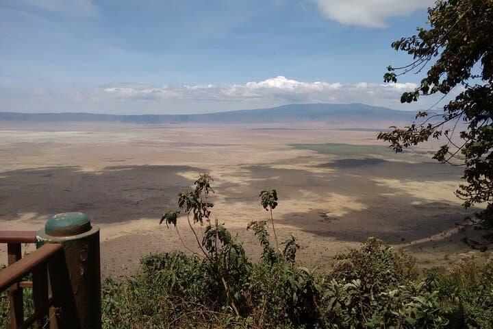 One-Day Ngorongoro Crater Safari — Big Five Game Drive from Arusha photo 4