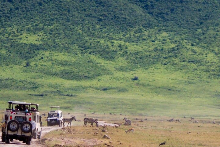 One-Day Ngorongoro Crater Safari — Big Five Game Drive from Arusha photo 6
