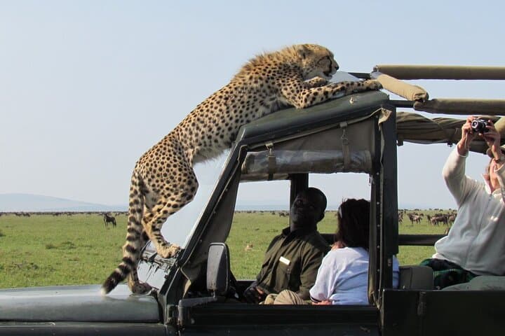 12-Day Kenya & Tanzania Best Parks Safari from Nairobi photo 3