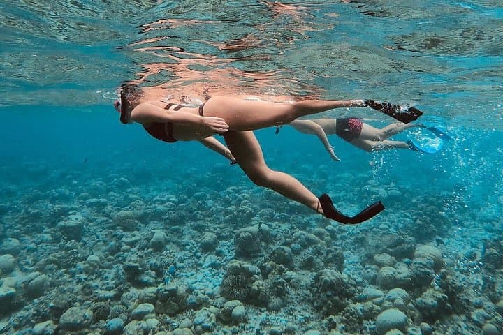 Ukulhas Tour C: Lost Island & Picnic Island Snorkel Adventure photo 3