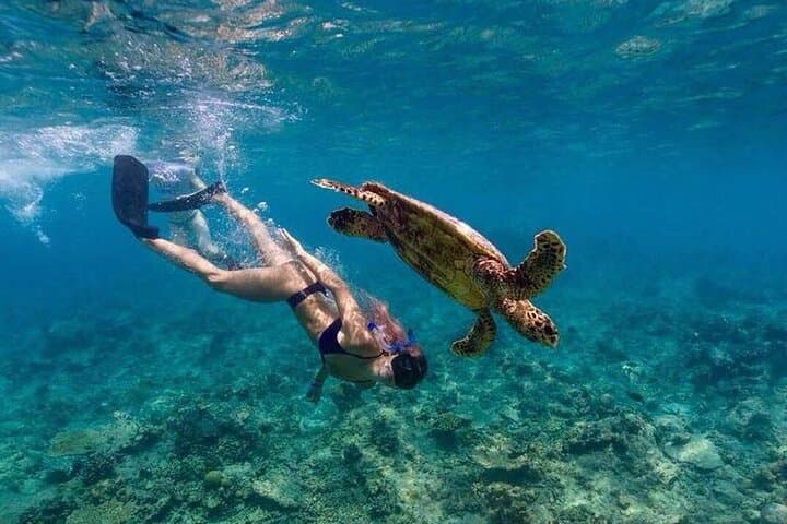 Ukulhas Tour C: Lost Island & Picnic Island Snorkel Adventure photo 2