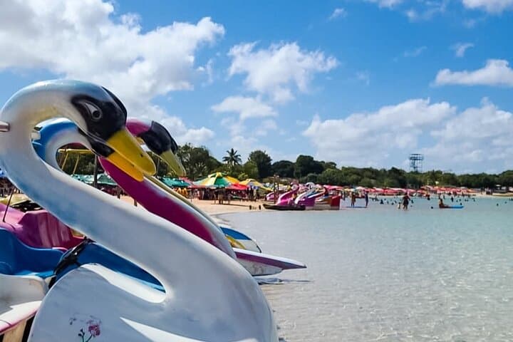 South Coast 4x4 Tour in Natal: Dunes, Cashew Tree & Lagoons photo 6