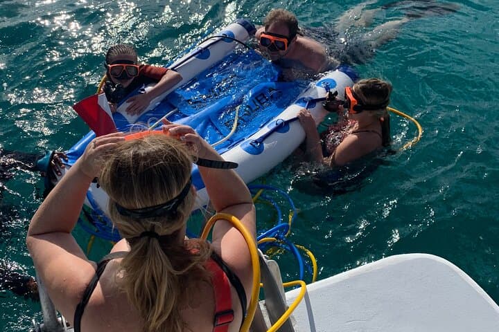 Snuba, Shipwreck & Iguana Island: 3-Hour Marine Adventure in Providenciales