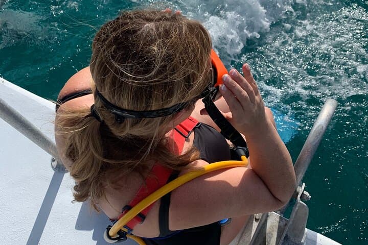 Snuba, Shipwreck & Iguana Island: 3-Hour Marine Adventure in Providenciales photo 2