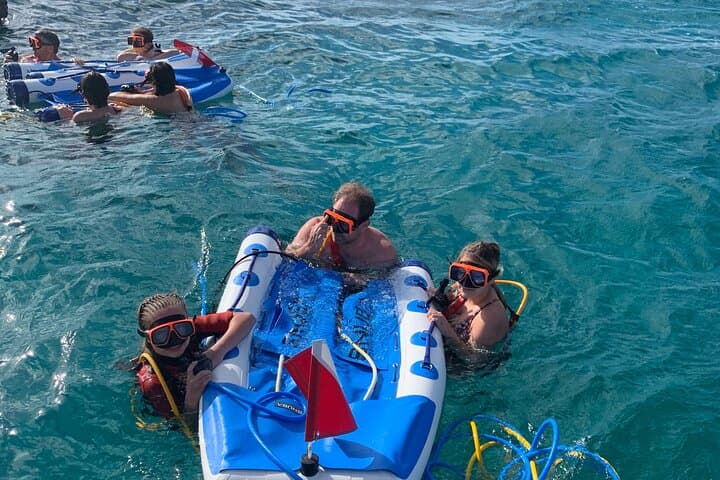 Snuba, Shipwreck & Iguana Island: 3-Hour Marine Adventure in Providenciales photo 3