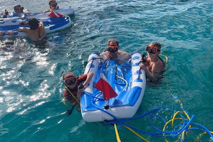 Snuba, Shipwreck & Iguana Island: 3-Hour Marine Adventure in Providenciales photo 4