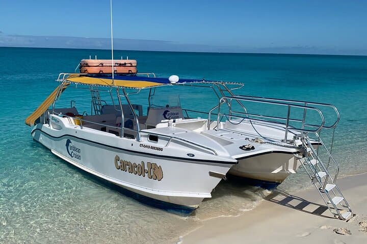 Snuba, Shipwreck & Iguana Island: 3-Hour Marine Adventure in Providenciales photo 5