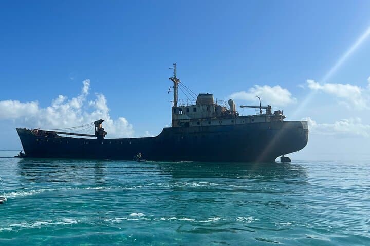 Snuba, Shipwreck & Iguana Island: 3-Hour Marine Adventure in Providenciales photo 6