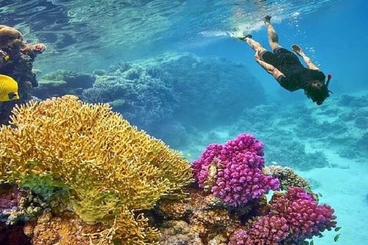 Full-Day Orange Bay Snorkeling from Hurghada: Reefs, Beaches & Boat Lunch photo 5
