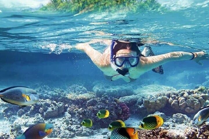 Full-Day Orange Bay Snorkeling from Hurghada: Reefs, Beaches & Boat Lunch photo 6
