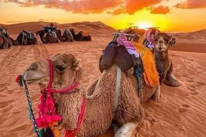 Luxury 2-Day Merzouga Desert Camp from Fes — Camel Rides, 4x4 & Starry Nights photo 2