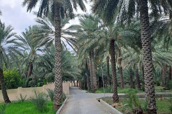 Jebel Shams & Nizwa Day Tour: Canyon Views, Misfat Al Abreen & Al Hamra photo 5