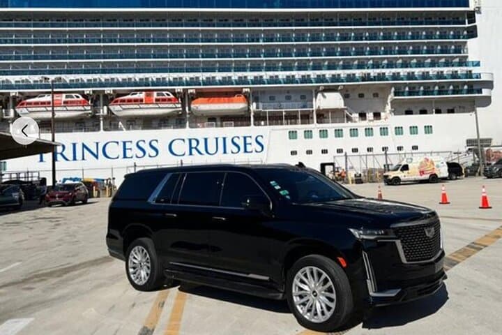 Miami & Fort Lauderdale Cruise Port to Airport Private Transfer & City Tour photo 2
