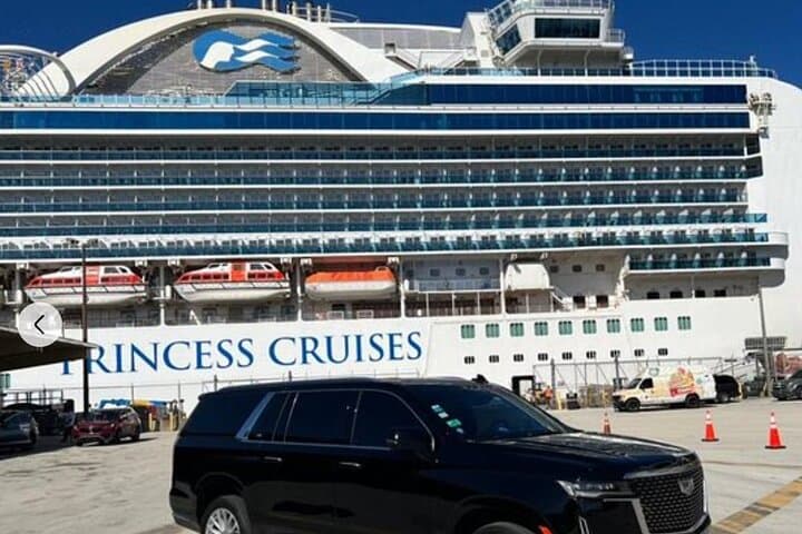 Miami & Fort Lauderdale Cruise Port to Airport Private Transfer & City Tour photo 5