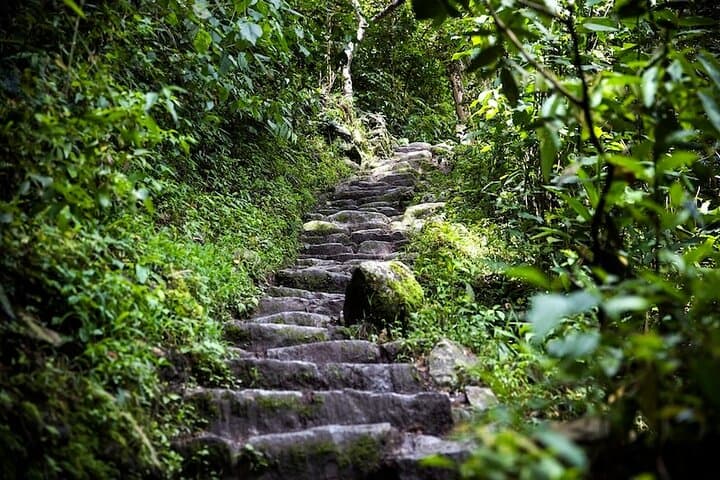 4-Day Inca Trail Trek: Classic Route to Machu Picchu photo 6