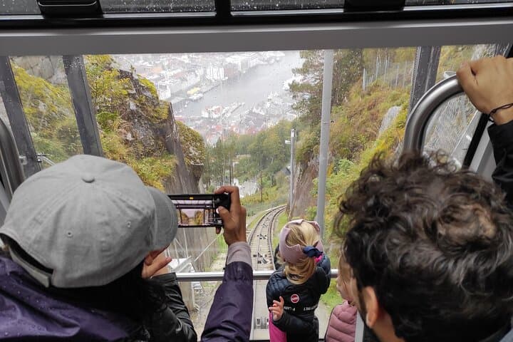 Exploring Bergen Mountains: A 3-Hour Guided Hiking Adventure Above the City