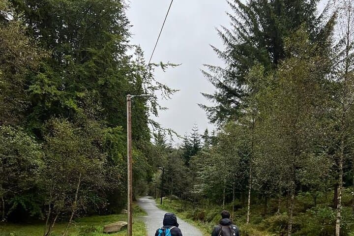 Exploring Bergen Mountains: A 3-Hour Guided Hiking Adventure Above the City photo 2