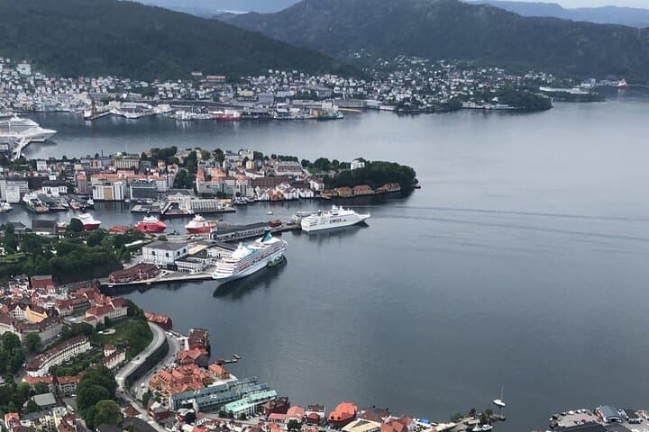 Exploring Bergen Mountains: A 3-Hour Guided Hiking Adventure Above the City photo 5