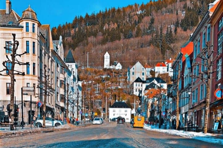 Exploring Bergen Mountains: A 3-Hour Guided Hiking Adventure Above the City photo 6
