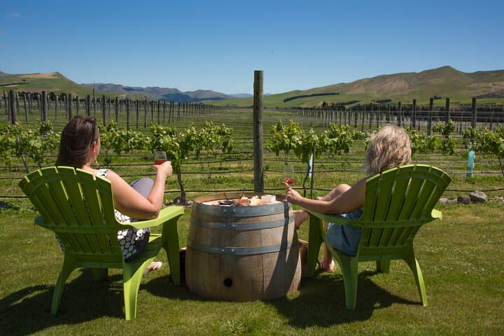 Waipara Wine Experience: Tastings & Winery Lunch from Christchurch photo 6