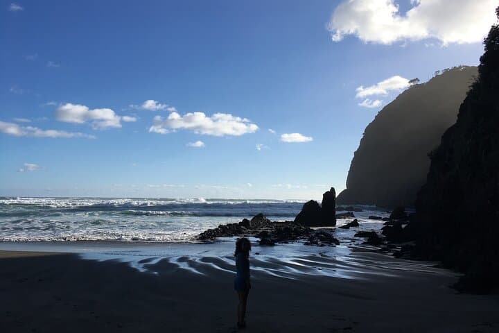 Auckland Wild Side: Piha, Karekare & Mount Eden Half-Day Tour photo 5