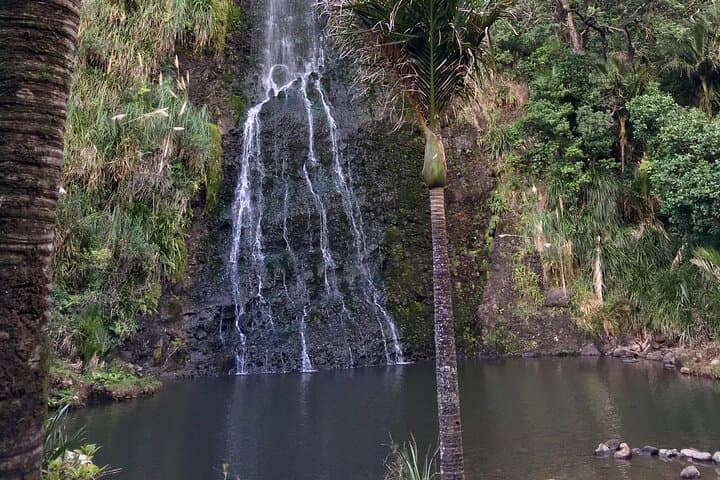 Auckland Wild Side: Piha, Karekare & Mount Eden Half-Day Tour photo 6
