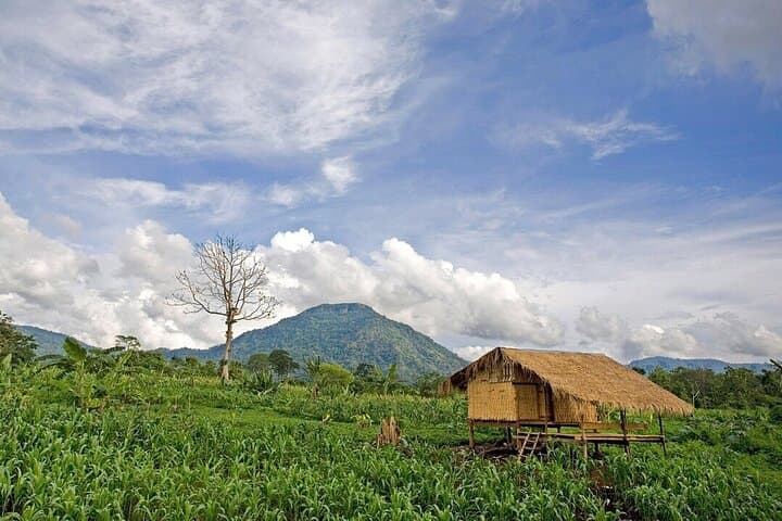 Bolaven Plateau Waterfall Trek: Pakse Day Hike to Tad Fane & Coffee Trails photo 4