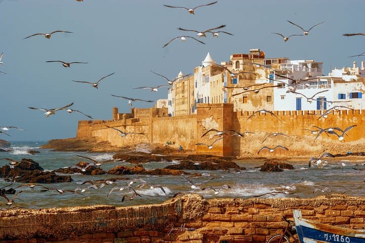 Full-Day Essaouira Day Trip from Marrakech: Beaches, Medina & Seafood photo 4