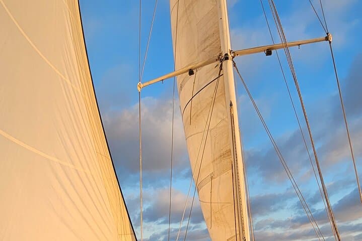 Oceanside Yacht Sailing: Whale & Dolphin Watching Aboard a 45' Teak Yacht photo 2