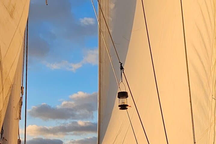 Oceanside Yacht Sailing: Whale & Dolphin Watching Aboard a 45' Teak Yacht photo 3