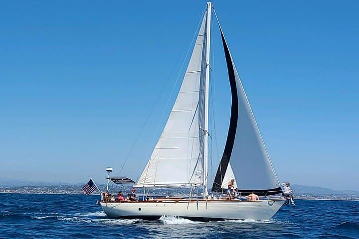 Oceanside Yacht Sailing: Whale & Dolphin Watching Aboard a 45' Teak Yacht photo 5