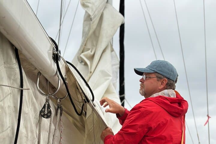 Oceanside Yacht Sailing: Whale & Dolphin Watching Aboard a 45' Teak Yacht photo 6