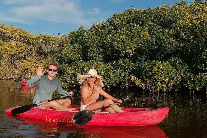 Explore Sisal: Kayak Mangroves, Lagoon Swim & Beach Day from Mérida photo 2