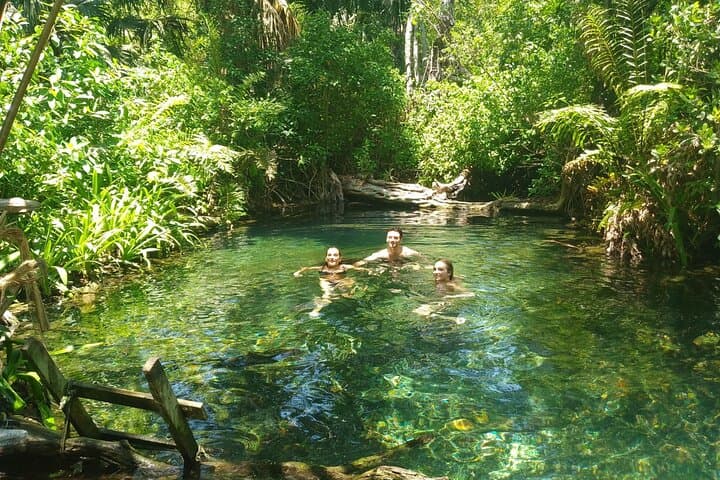 Explore Sisal: Kayak Mangroves, Lagoon Swim & Beach Day from Mérida
