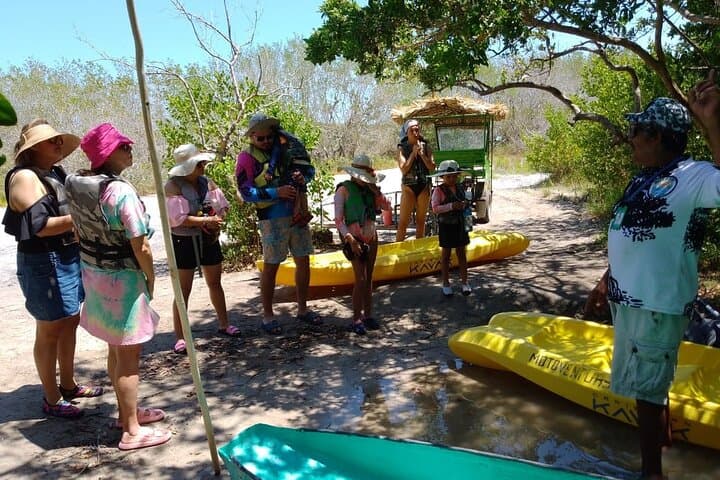 Explore Sisal: Kayak Mangroves, Lagoon Swim & Beach Day from Mérida photo 6