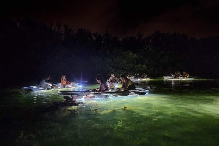 Siesta Key Night Clear-Kayak Tour: Glass-Bottom LED Paddle with Wildlife