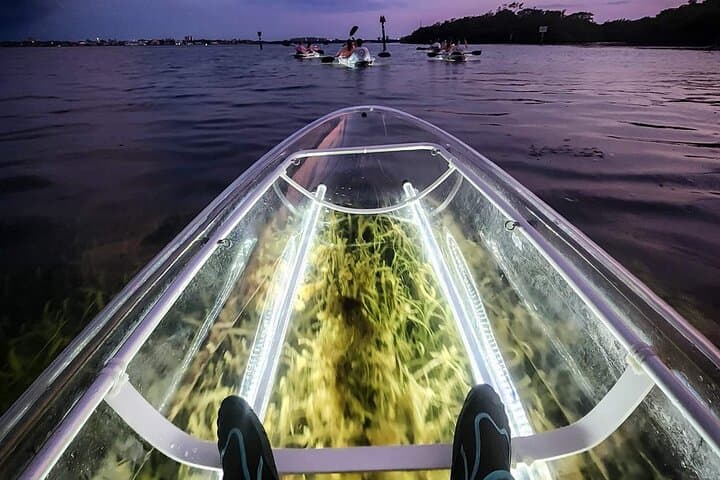 Siesta Key Night Clear-Kayak Tour: Glass-Bottom LED Paddle with Wildlife photo 4