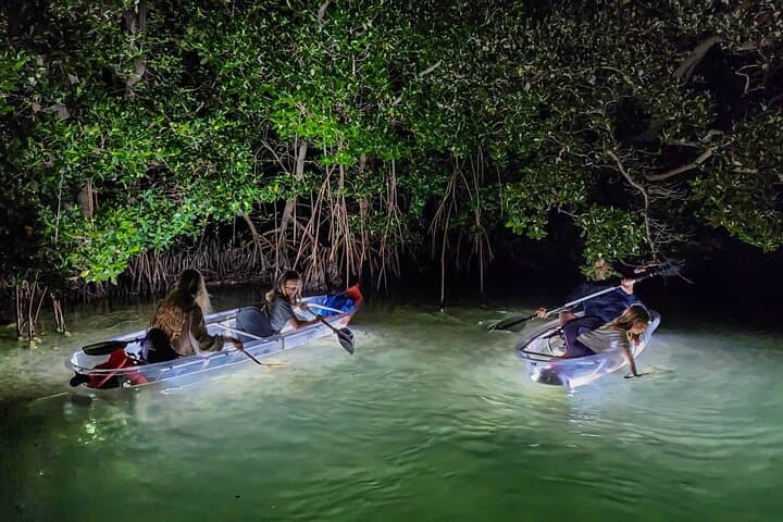 Siesta Key Night Clear-Kayak Tour: Glass-Bottom LED Paddle with Wildlife photo 5