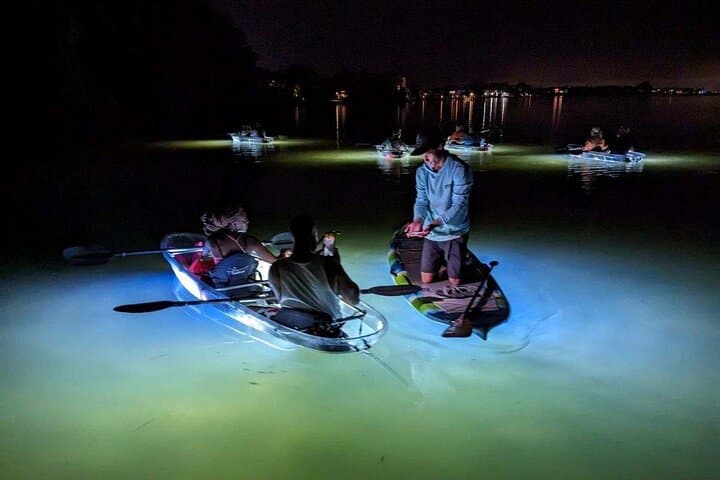 Siesta Key Night Clear-Kayak Tour: Glass-Bottom LED Paddle with Wildlife photo 6